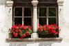 tv-suedtiroler-unterland-luca-guadagnini-37