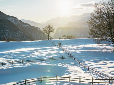 Cislon Winter / Thomas Monsorno