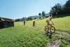 Bike rental in Truden/Trodena