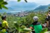 Bike tours