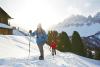 Snowshoe hikes