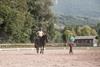 Horses & riding