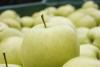 South Tyrolean apples