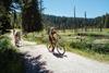 Bike rental in Altrei/Anterivo