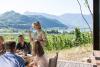 South Tyrolean Wine Road Weeks