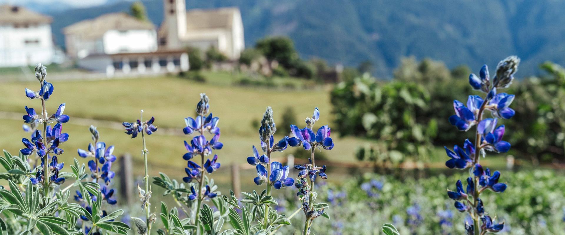 The southeastern Dolomites