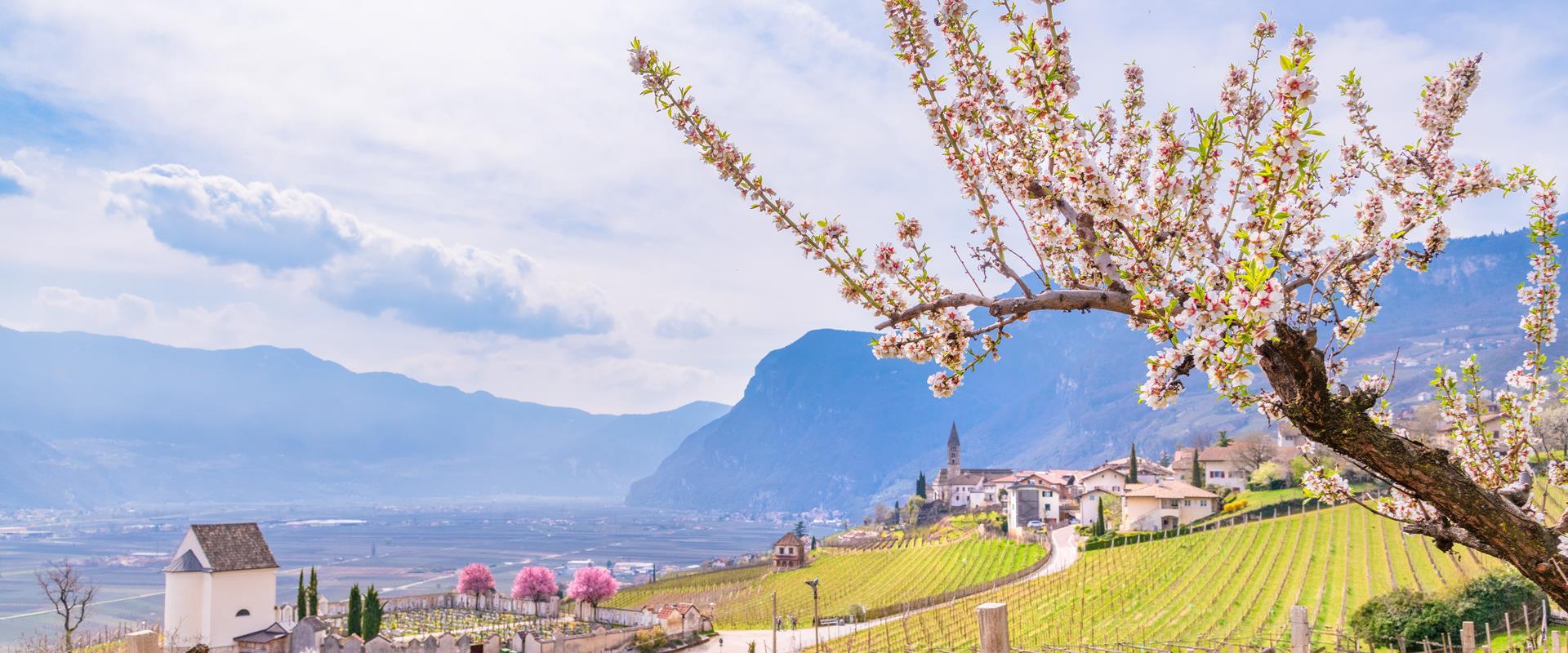 Through vineyards, legends, and history