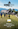 Schwarz-Weiss-Trail