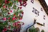 tv-suedtiroler-unterland-luca-guadagnini-226