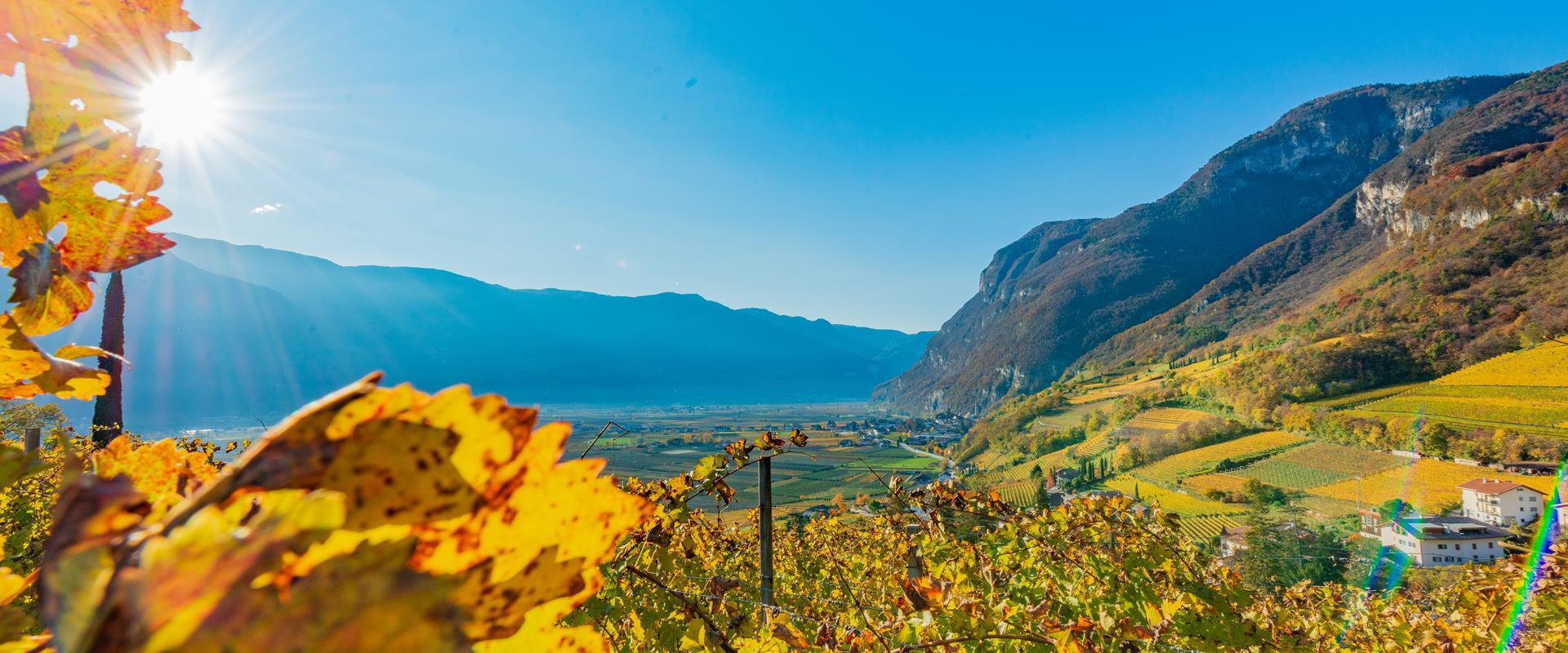 Golden Autumn