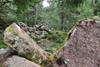 Enzbirg hillfort